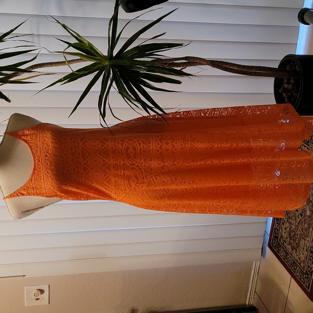 Metaphore lace dress